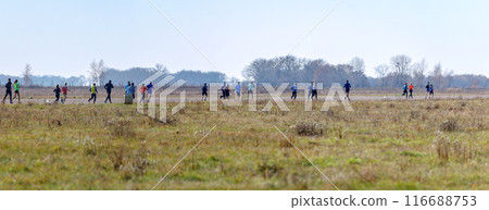 A large crowd is sprinting across the airstrip, taking part in a sporting event 116688753