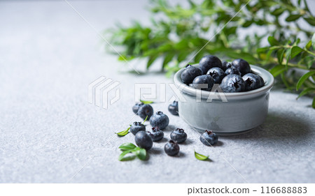 sweet fresh blueberries in a bowl with a green branch on a blue concrete background. Front view 116688883