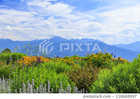 Fujimi Kogen Resort Romance Area in full bloom Fujimi Kogen Resort Romance Area in full bloom 116688997
