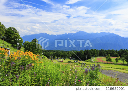 Fujimi Kogen Resort Romance Area in full bloom 116689001