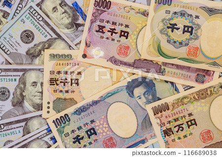 When Japan experiences inflation, it invests its savings by purchasing dollars in United States 116689038