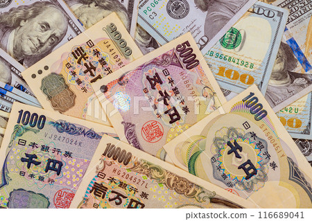 Japanese is experiencing inflation may invest his her savings by buying US dollars 116689041