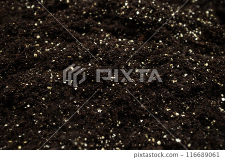 Close-up of soil mixed with white agroperlite. Agroperlite is a rock of volcanic origin with many beneficial properties for plants. Selective focus Close-up of soil mixed with white agroperlite. Agroperlite is a rock of volcanic origin with many beneficial properties for plants. Selective focus 116689061