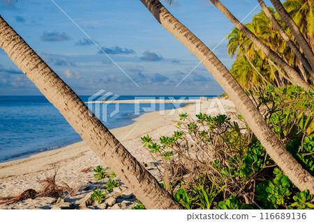 Beach in Maldives. Holiday banner with ocean and evening sunlight Beach in Maldives. Holiday banner with ocean and evening sunlight 116689136