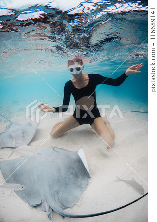 Woman swimming with sting rays in Maldives. Sting ray and woman underwater in blue ocean Woman swimming with sting rays in Maldives. Sting ray and woman underwater in blue ocean 116689141