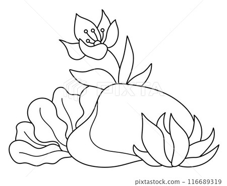 Vector black and white marine composition with rock, seaweeds, water lily. Mermaid land line concept. Sea life nature decoration. Ocean or underwater clipart element or coloring page Vector black and white marine composition with rock, seaweeds, water lily. Mermaid land line concept. Sea life nature decoration. Ocean or underwater clipart element or coloring page 116689319