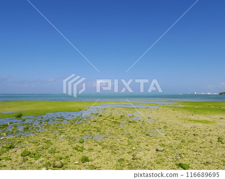 Meijo Beach (Itoman City, Okinawa Prefecture) Meijo Beach (Itoman City, Okinawa Prefecture) 116689695