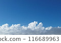 Clouds floating in the blue sky 116689963