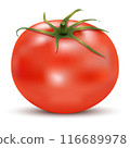 WVector drawing. Ripe, juicy, red tomato, with on Isolated white background with shadow. Nutrition concept. Can be used for advertising, print, banner, poster, packaging. Eps 10.eb 116689978