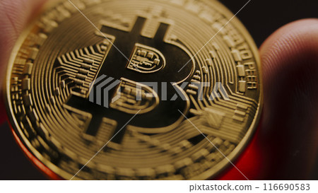 Anonymous person holds bitcoin gold coin in his hands Anonymous person holds bitcoin gold coin in his hands 116690583