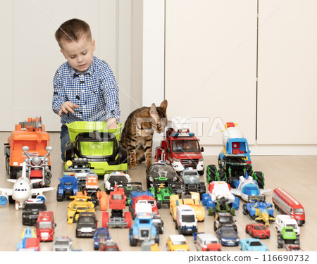 Concept of children's toys. A, red and tabby Bengal cat and a little boy, 4 years old, play happily, sitting on the floor, with multi-colored small and large cars in the children's room. 116690732