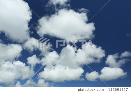 Summer in Okinawa: Blue skies and white clouds 116691527