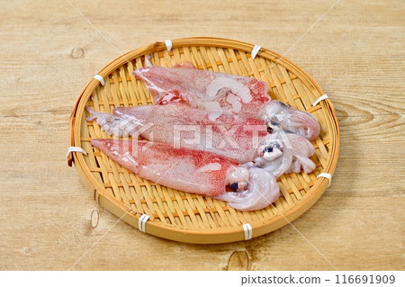 Food image: swordtip squid, swordtip squid, longfin squid, swordtip squid. 116691909