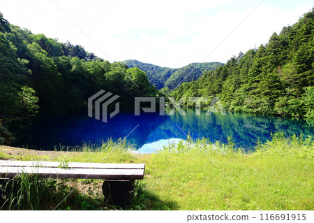 Onuma Pond in Shiga Highlands, Nagano Prefecture 116691915