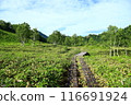 Shigakigaura徒步旅行 Shigakigaura徒步旅行 116691924