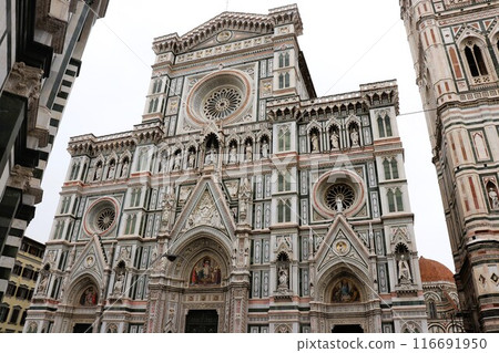 Duomo, Church of Our Lady of the Flower, World Heritage Site, Florence, Italy, Europe Duomo, Church of Our Lady of the Flower, World Heritage Site, Florence, Italy, Europe 116691950