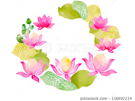 Red lotus flower frame on white background 116692214