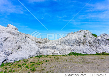 白崎海洋公園(7月,晴) 白崎海洋公園(7月,晴) 116692514