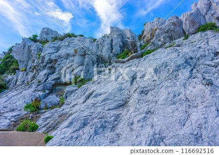 Shirasaki Marine Park (July, sunny) 116692516
