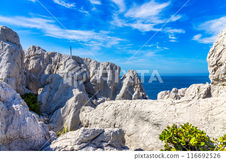 Shirasaki Marine Park (July, sunny) Shirasaki Marine Park (July, sunny) 116692526