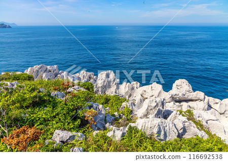 白崎海洋公園（7月，晴） 116692538