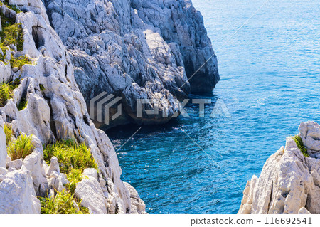 Shirasaki Marine Park (July, sunny) Shirasaki Marine Park (July, sunny) 116692541