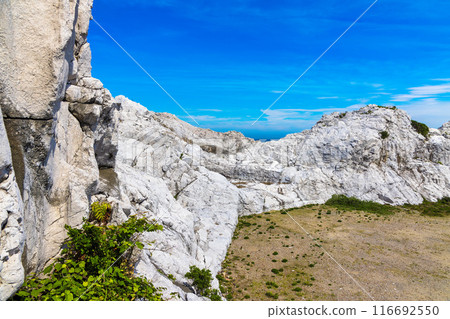 Shirasaki Marine Park (July, sunny) 116692550