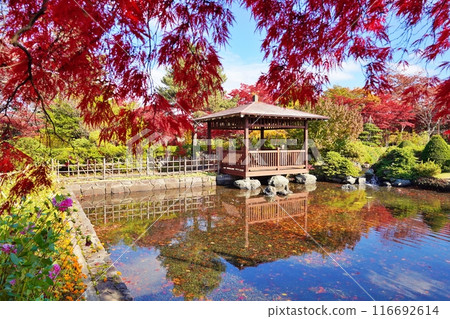 平岡樹藝術中心的秋葉（夢中） 116692614