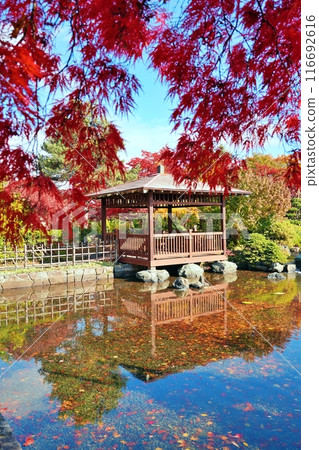 Autumn leaves at Hiraoka Jurigei Center (Midorimu) 116692616