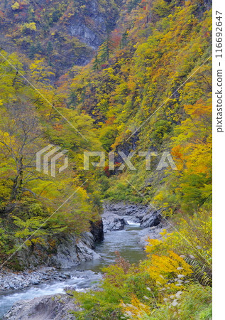 Cheongsu Gorge in autumn Cheongsu Gorge in autumn 116692647