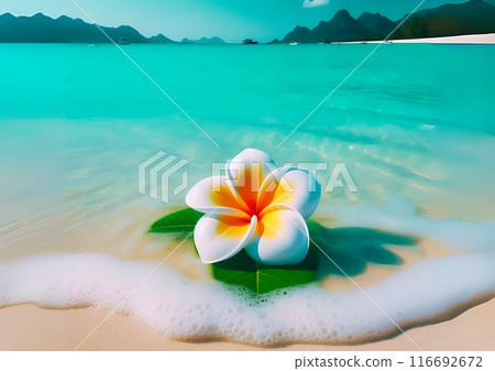 Plumeria art floating in the emerald green sea 116692672
