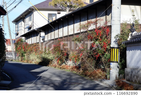 蜀南市的老山陽路靜靜佇立在初春的陽光下 116692890