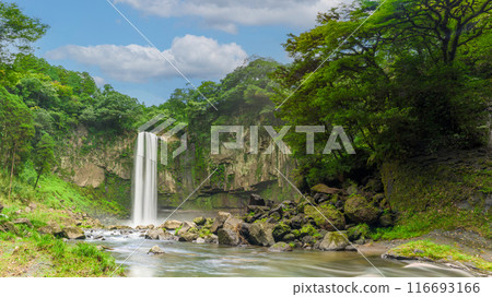 Gorogataki Falls, a spectacular sight against the blue summer sky, is a 50m-high waterfall tourist spot (Yamato Town) 116693166