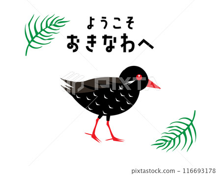 Okinawa's Okinawa rail and Areca palm 116693178
