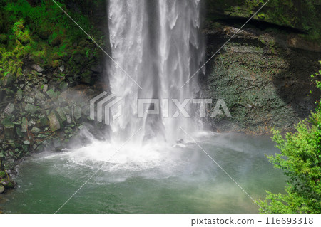 Fresh greenery seen from the rest area and Gorogataki Falls, a tourist spot with a 50m high waterfall (Yamato Town) Fresh greenery seen from the rest area and Gorogataki Falls, a tourist spot with a 50m high waterfall (Yamato Town) 116693318