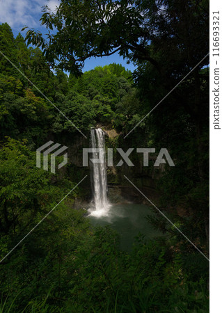 Fresh greenery seen from the rest area and Gorogataki Falls, a tourist spot with a 50m high waterfall (Yamato Town) Fresh greenery seen from the rest area and Gorogataki Falls, a tourist spot with a 50m high waterfall (Yamato Town) 116693321