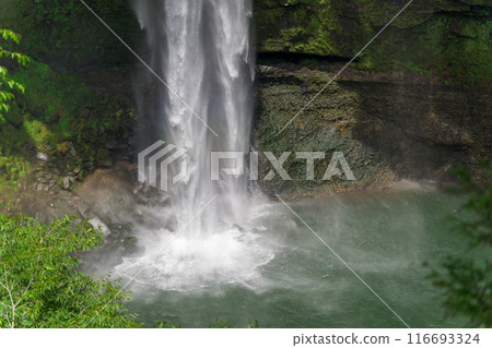 Gorogataki Falls, reflected in the flow of the waterfall. A tourist spot. A 50-meter-high waterfall (Yamato Town) 116693324