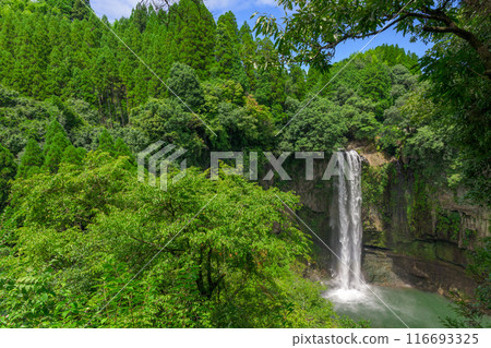 Fresh greenery seen from the rest area and Gorogataki Falls, a tourist spot with a 50m high waterfall (Yamato Town) 116693325