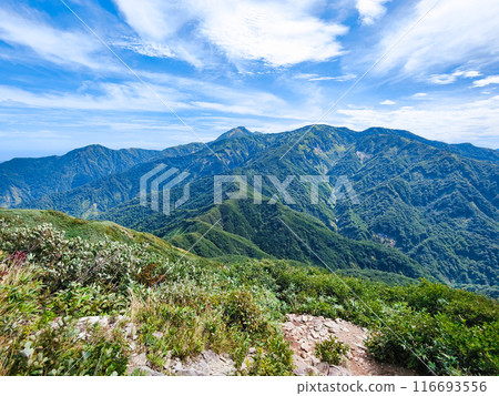 Climbing Mt. Amakasaka in summer (view of Mt. Yakeyama and Mt. Kanayama from just before Sasahira) Climbing Mt. Amakasaka in summer (view of Mt. Yakeyama and Mt. Kanayama from just before Sasahira) 116693556