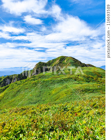 Climbing Mt. Amakasari in summer (Sasadaira and the summit of Mt. Amakasari) 116693589