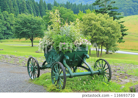 黑姬同和館的花車 116693710