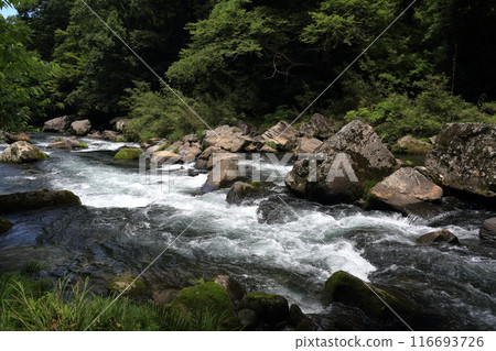 Okawa Falls in Kagoshima Okawa Falls in Kagoshima 116693726