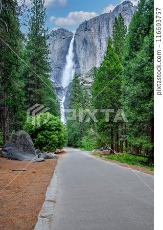 Yosemite National Park 116693757