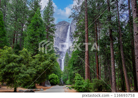 Yosemite National Park 116693758