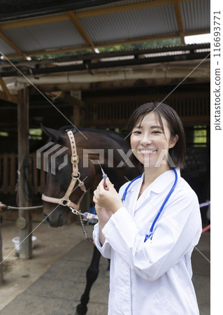 Veterinarian examining a horse Veterinarian examining a horse 116693771