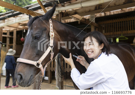 獸醫檢查馬 116693776