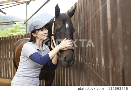 Woman taking care of a horse Woman taking care of a horse 116693836
