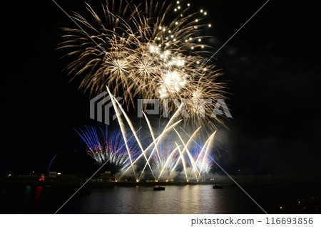 Toyohashi Gion Festival Fireworks Display 116693856