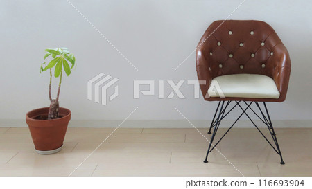 Room interior with modern chair and houseplant Room interior with modern chair and houseplant 116693904