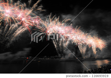 豐橋祗園祭煙火大會 豐橋祗園祭煙火大會 116693919